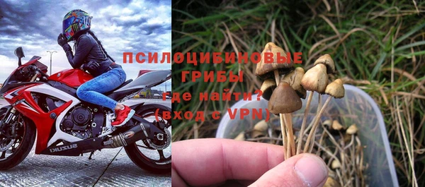 mdma Ельня