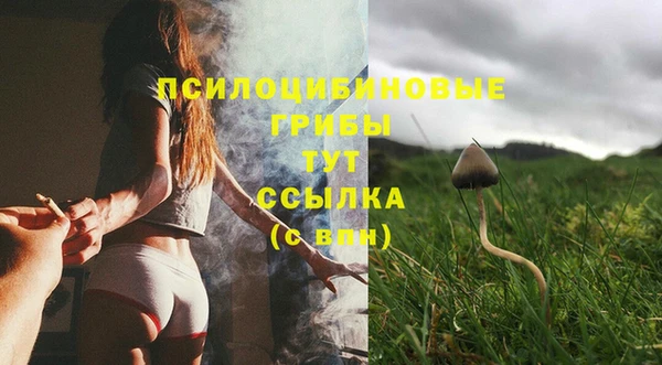 mdma Ельня